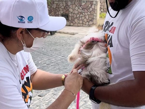 Caicó bate recorde na vacinação antirrábica de cães e gatos no Dia D